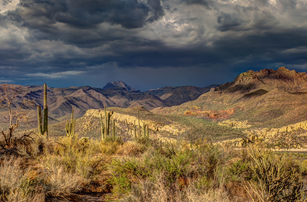 landscape_sm
